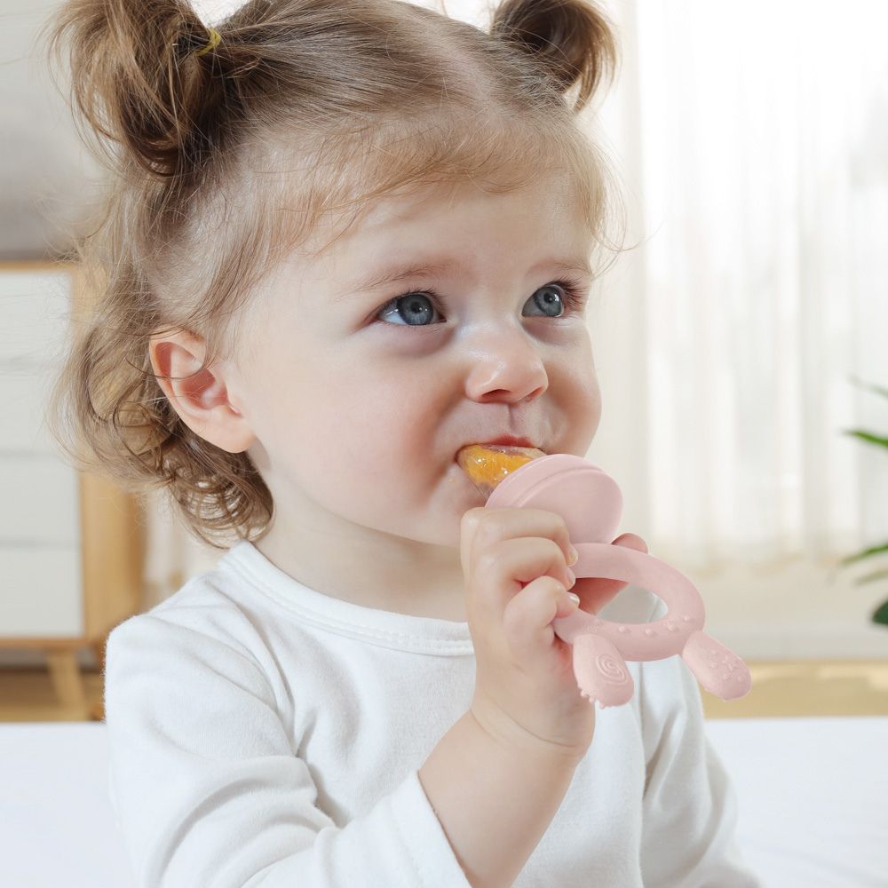 Fresh Food Feeder Teether + Freeze Tray